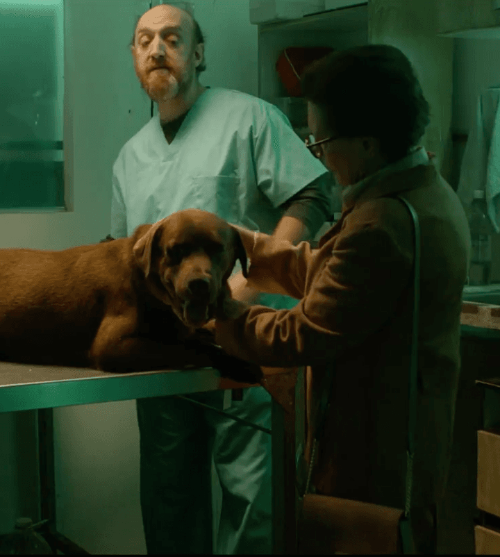 Imagen de Maltrato animal